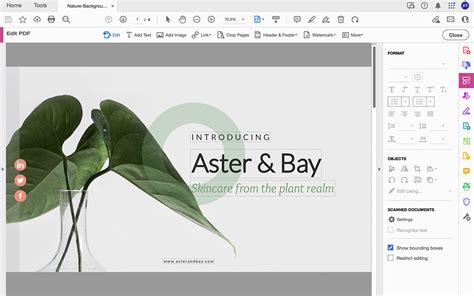 Image result for PDF to PowerPoint