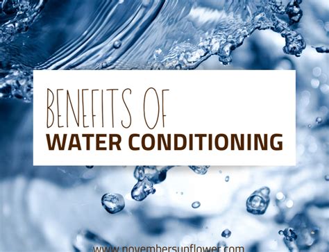 Image result for Spring Cleaning Tips