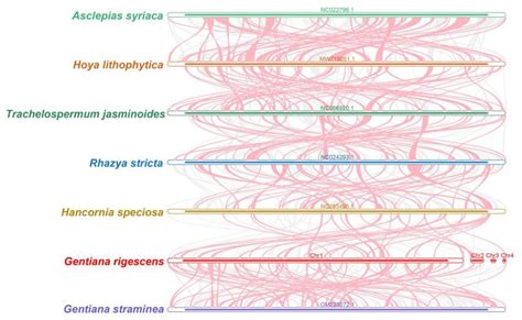Mitochondrial Genome Assembly and Structural Characteristics Analysis ...