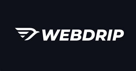 WEBDRIP - Custom Mobile Apps, AI Automation & Web Design Agency