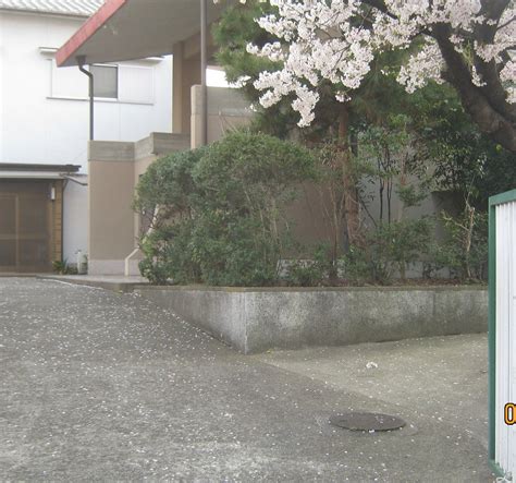 Nyugan-ji Temple, Wakayama