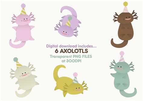 Buy Axolotl Clipart Mexican Salamanders Amphibians Instant Online in ...