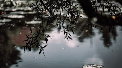 Green 的图像结果