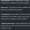 a cell is like our school is part of our cell has responsibility that ...
