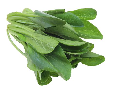 Komatsuna Green Seeds Online | Get 2 Free Sample Seeds With Every Order ...