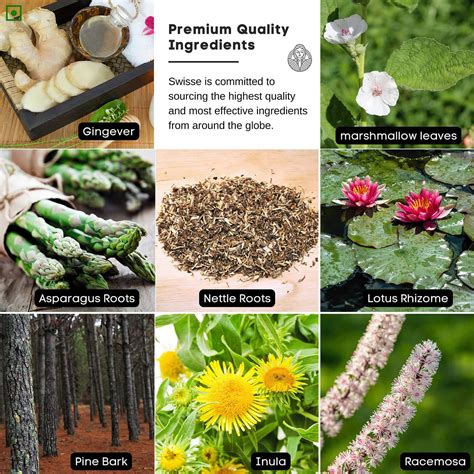 Buy THE OLD NATURAL LUNG DETOX - SMOKERS & POLLUTION FOR LUNG CLEANSING ...