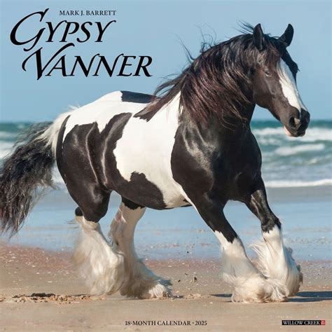 Buy Gypsy Vanner Horse 2026 12 X 12 Wall Calendar Book Online at Low ...