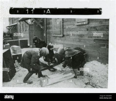 SS Photographer Eines Norwegian SS 1943 Field training, enlistment ...