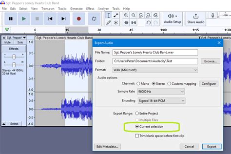 Image result for Audacity Export Labels