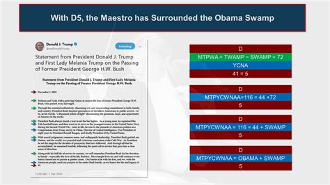 Serial Brain 2 的图像结果