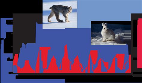 Image result for Predator-Prey Cycles