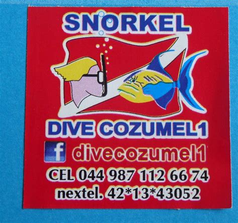 DIVCE COZUMEL1 - All You Need to Know BEFORE You Go 2026 (with Photos ...