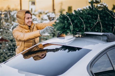 Handsome man securing christmas tree to the car | Free Photo