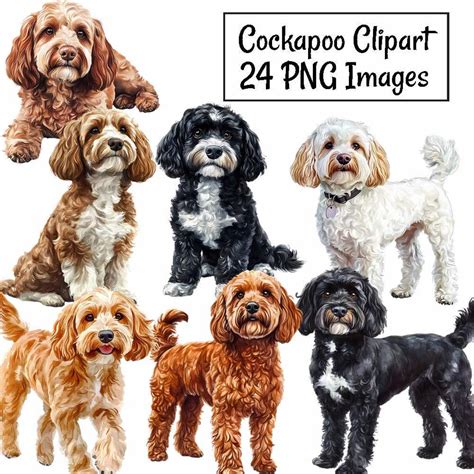 Image result for Cockapoo ClipArt
