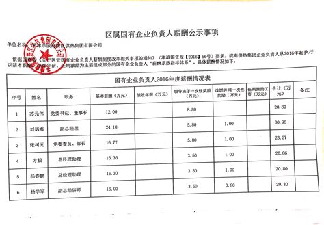 区属国有企业负责人薪酬公示事项-天津市滨海新区供热集团有限公司