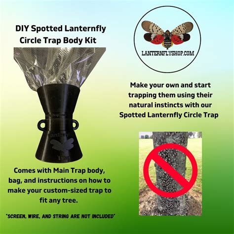 Lantern Fly Traps with Netting 的图像结果