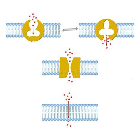 Passive Diffusion 的图像结果