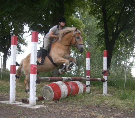 Tiere Kleinanzeigen Zossen Anzeigenmarkt Zossen