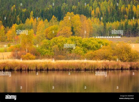 Image result for Beautiful Autumn Fall