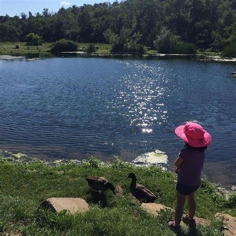 JEREMIAH'S BULLFROG FISH FARM - All You Need to Know BEFORE You Go 2026 ...