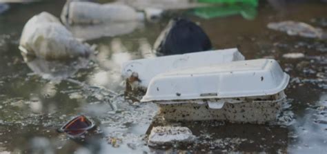 The Rise of Edible Packaging: A Sustainable Solution to Food Waste and ...