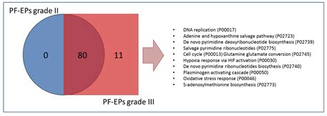 Ependymoma Pediatric Brain Tumor Protein Fingerprinting by Integrated ...