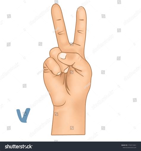 American Hand Sign Language 的图像结果