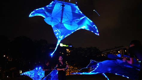 Image result for Local Events This Weekend