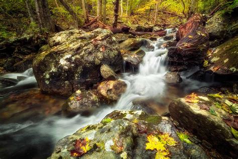 12 Best Hikes in Shenandoah National Park - The Planet D
