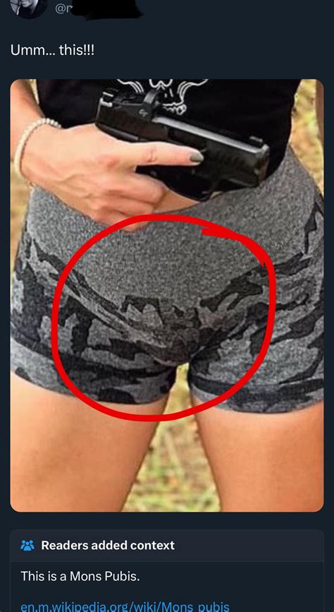 fleshy mound of a woman's vagina, above the lips of the labia. Latin for "pubic mound" and ...