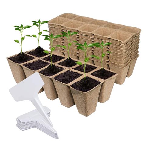 Buy 120 Cells Seed Starter Peat Pots Biodegradable and Germination ...