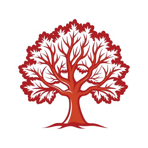 Mexican White Oak Tree Bold Outline Design 1 57695917 Vector Art at ...