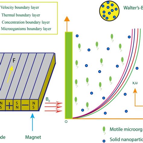 Image result for Current Problem