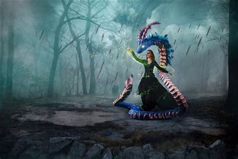 女人梦见蛇飞起来了_周公解梦