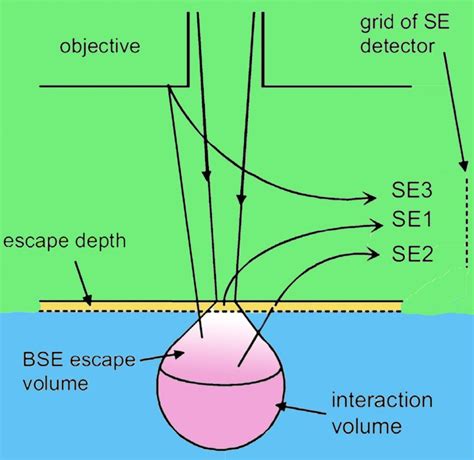 Image result for Animation Scanning Electron Microscope