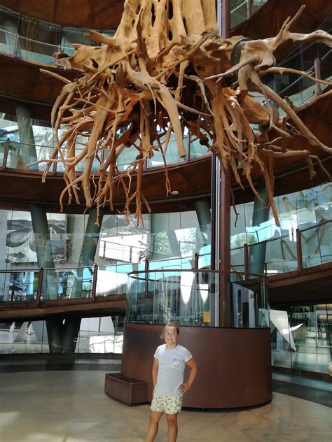 COSMOCAIXA MUSEUM OF SCIENCE - All You Need to Know BEFORE You Go 2026 ...
