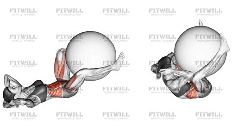 Image result for Frog Lift Exercise