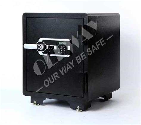 Image result for Fire Safe with Humidity Control