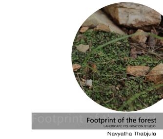 Footprint of the forest | CEPT - Portfolio