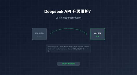 API Data Connection 的图像结果