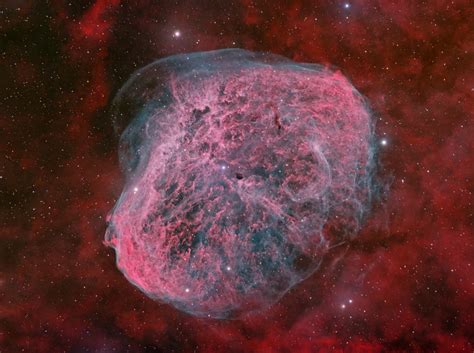 Image result for Science Experement ID