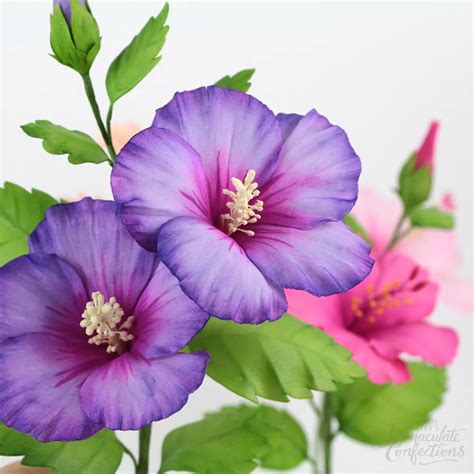 Image result for Gumpaste Hibiscus Tutorial