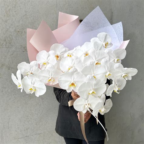 Bouquet Of White Orchids