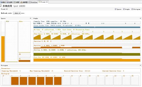Java VisualVM 的图像结果