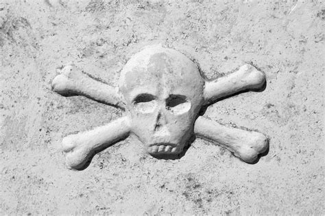 6 Famous Members of the Skull and Bones Secret Society — History Facts