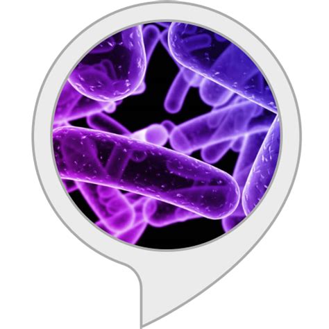 Amazon.in: Bacteria Facts : Alexa Skills
