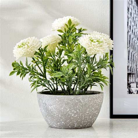 Buy Gloria Bloom Artificial Chrysthemum Flowers in Paper Mache Pot from ...