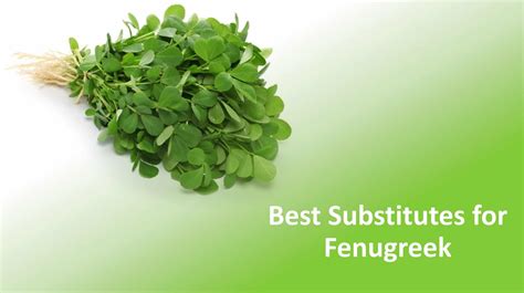 Fenugreek Substitute & Alternative Replacement (Seeds & Leaves)