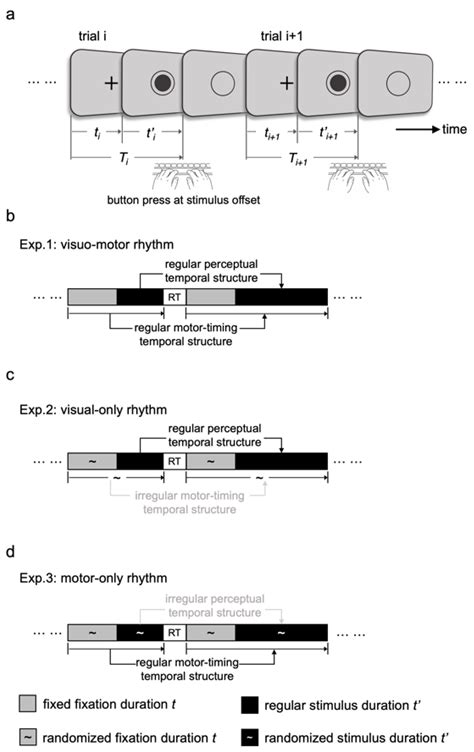 Perceptual Temporal Structure Supports Rhythm Learning and Enhances ...