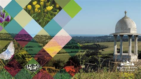 Naloxone Training & Overdose Awareness, January 18 2023 | Online Event ...